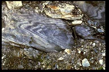 Approximately similar fold (class 2) in slate, Old Man's Pond, Newfoundland
